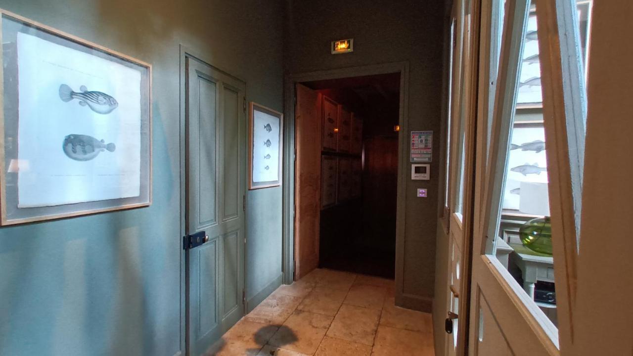 Le Complot : Maison Privée En Plein Coeur D'avignon Hébergement de vacances *